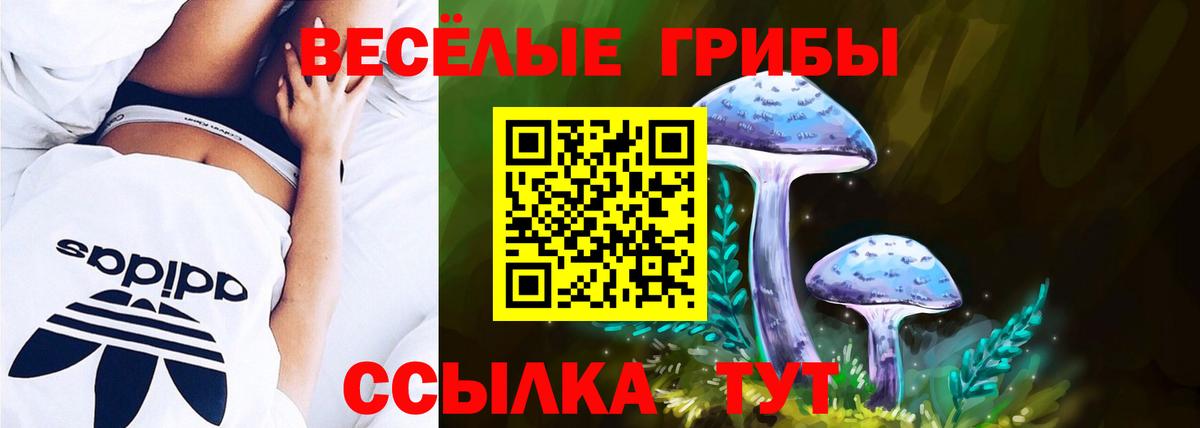 Галлюциногенные грибы Psilocybine cubensis Вологда